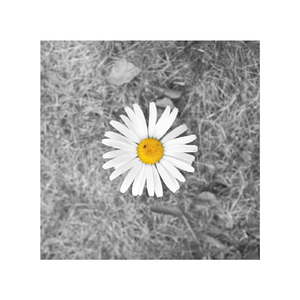 像素James Cabello下载
