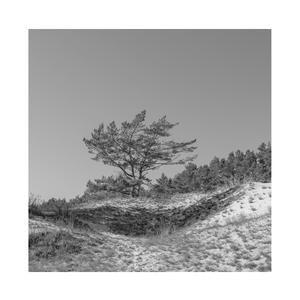 像素James Cabello下载
